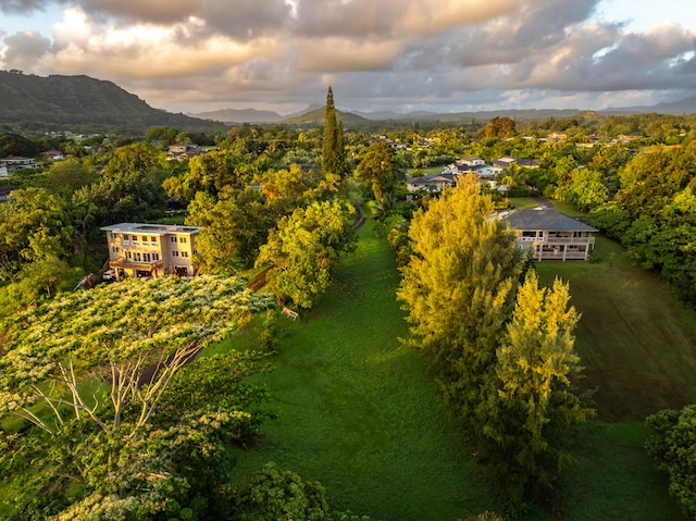 Olohena Rd Unit 3, Kapaa, HI 96746 - photo 7