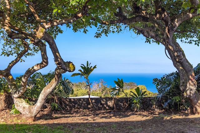 81-6267 Piko Rd, Captain Cook, HI 96704 - water view