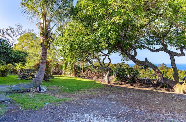 81-6267 Piko Rd, Captain Cook, HI 96704 - view of green lawn