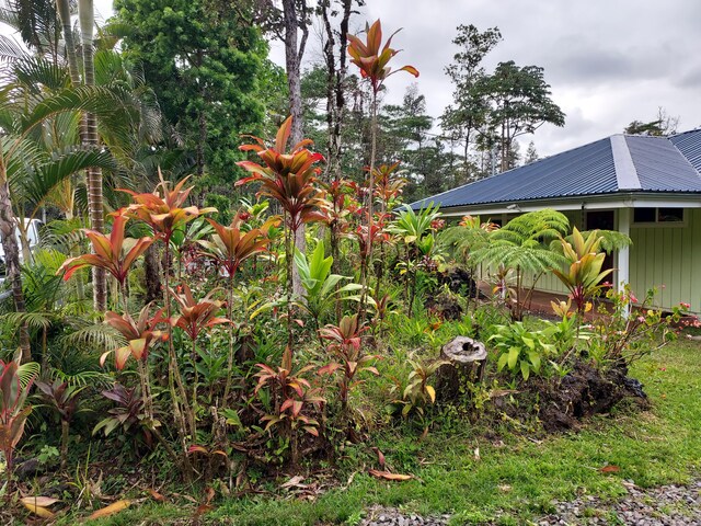 14-3431 Seadrift Rd, Pahoa, HI 96778 - view of yard