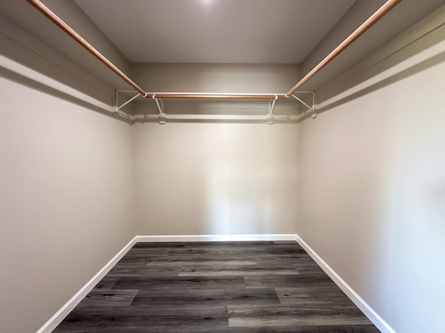 15-1622 3rd Ave, Keaau, HI 96749 - walk in closet with dark wood-type flooring