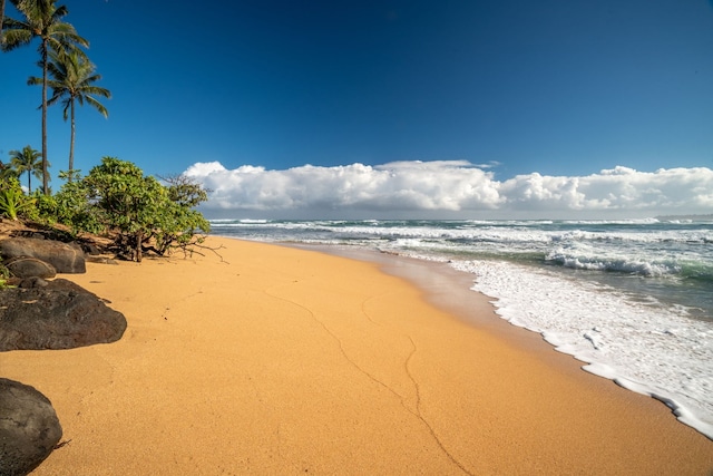 5-7084 Kuhio Hwy, Hanalei, HI 96714 - water view with nearby beach