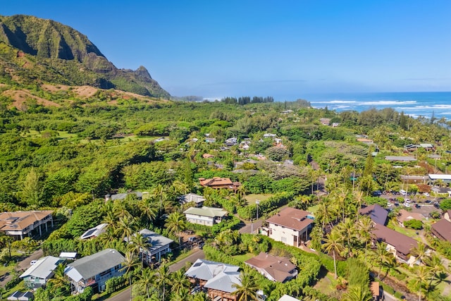 5-7084 Kuhio Hwy, Hanalei, HI 96714 - aerial view of residential area