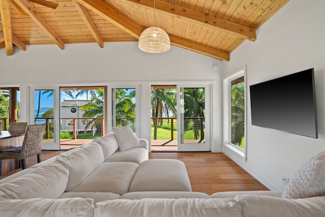 5-7084 Kuhio Hwy, Hanalei, HI 96714 - living area with wood ceiling and wood finished floors