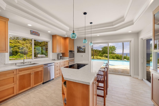 4228-L Waiakalua St Unit B & C, Kilauea, HI 96754 - kitchen with stainless steel dishwasher, a sink, a tray ceiling, a kitchen island, and black electric stovetop