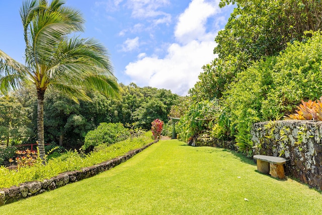 4228-L Waiakalua St Unit B & C, Kilauea, HI 96754 - view of green lawn
