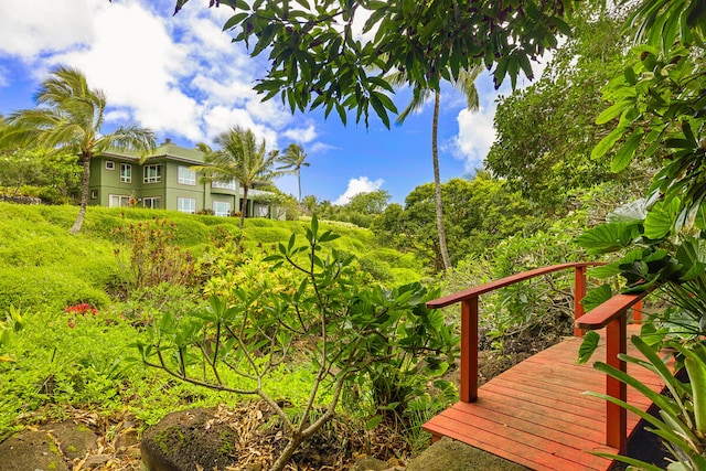 4228-L Waiakalua St Unit B & C, Kilauea, HI 96754 - view of yard
