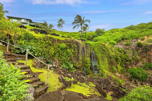 4228-L Waiakalua St Unit B & C, Kilauea, HI 96754 - view of yard