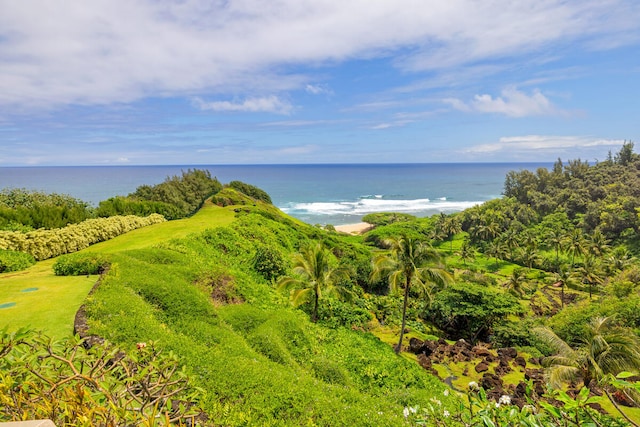 4228-L Waiakalua St Unit B & C, Kilauea, HI 96754 - water view