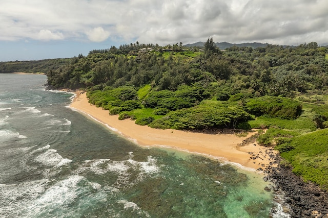 4228-L Waiakalua St Unit B & C, Kilauea, HI 96754 - bird's eye view of unending shoreline and a forest