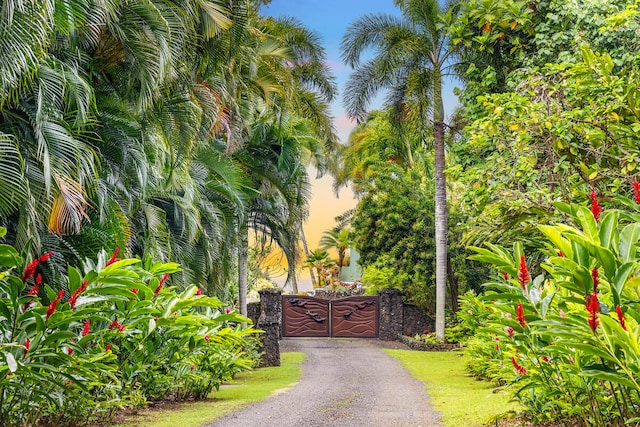 4228-L Waiakalua St Unit B & C, Kilauea, HI 96754 - view of gate