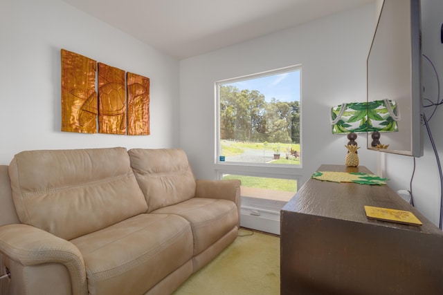 32-491 Piha Kahuku Rd, Ninole, HI 96773 - living room with light carpet