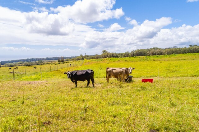 32-491 Piha Kahuku Rd, Ninole, HI 96773 - view of yard featuring a view of rural / pastoral area