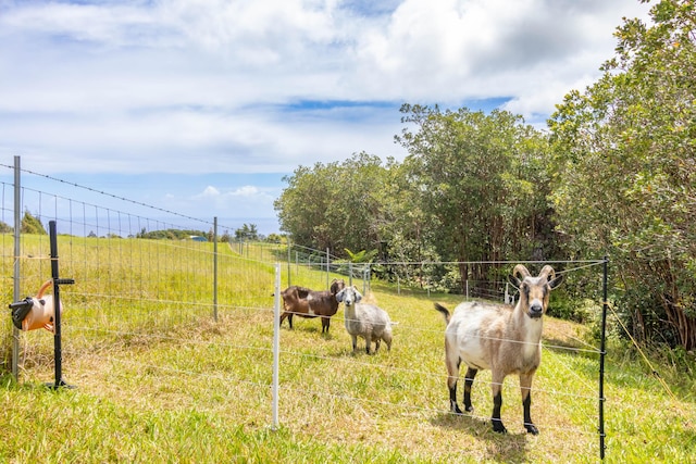 32-491 Piha Kahuku Rd, Ninole, HI 96773 - view of yard featuring a view of countryside