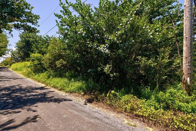 Amau Rd, Keaau, HI 96749
