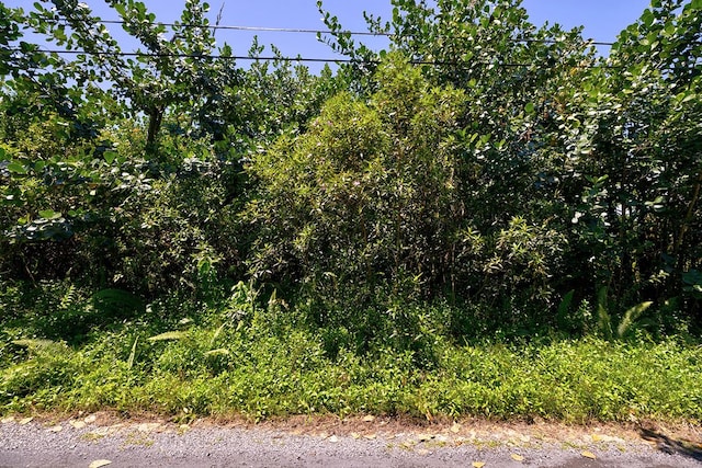 Amau Rd, Keaau, HI 96749