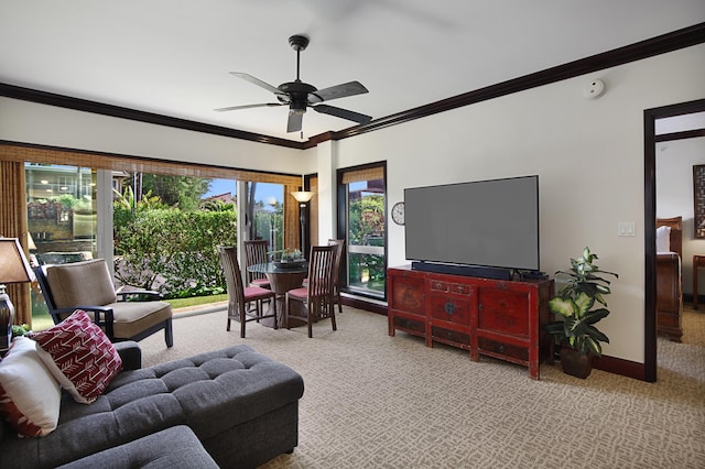 4-820 Kuhio Hwy Unit C106, Kapaa, HI 96746 - carpeted living room with ornamental molding, a ceiling fan, and baseboards