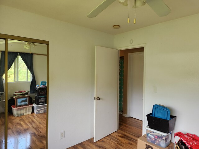14-3449 Mauna Kea Rd, Pahoa, HI 96778 - bedroom featuring wood finished floors, a ceiling fan, and a closet