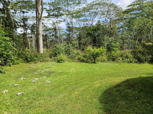 14-3449 Mauna Kea Rd, Pahoa, HI 96778 - view of green lawn