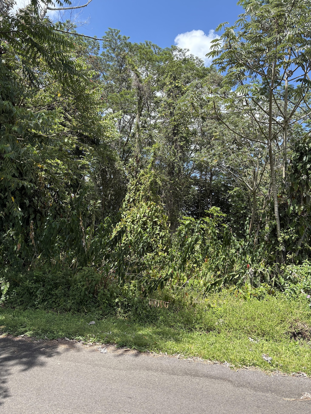 Anthurium Dr, Pahoa, HI 96778