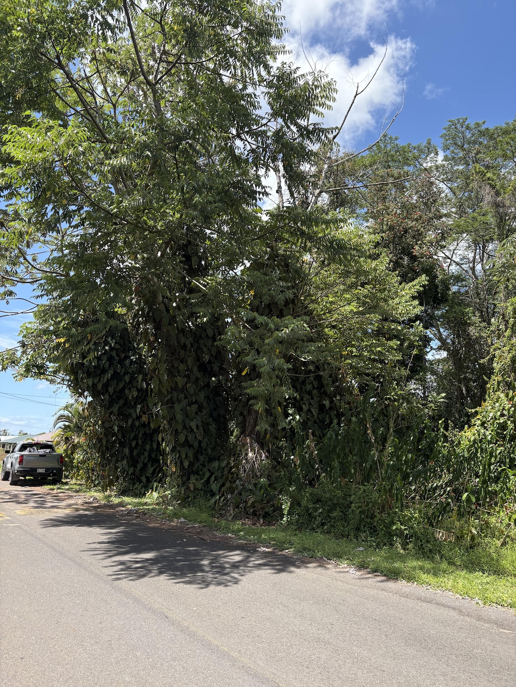 Anthurium Dr, Pahoa, HI 96778