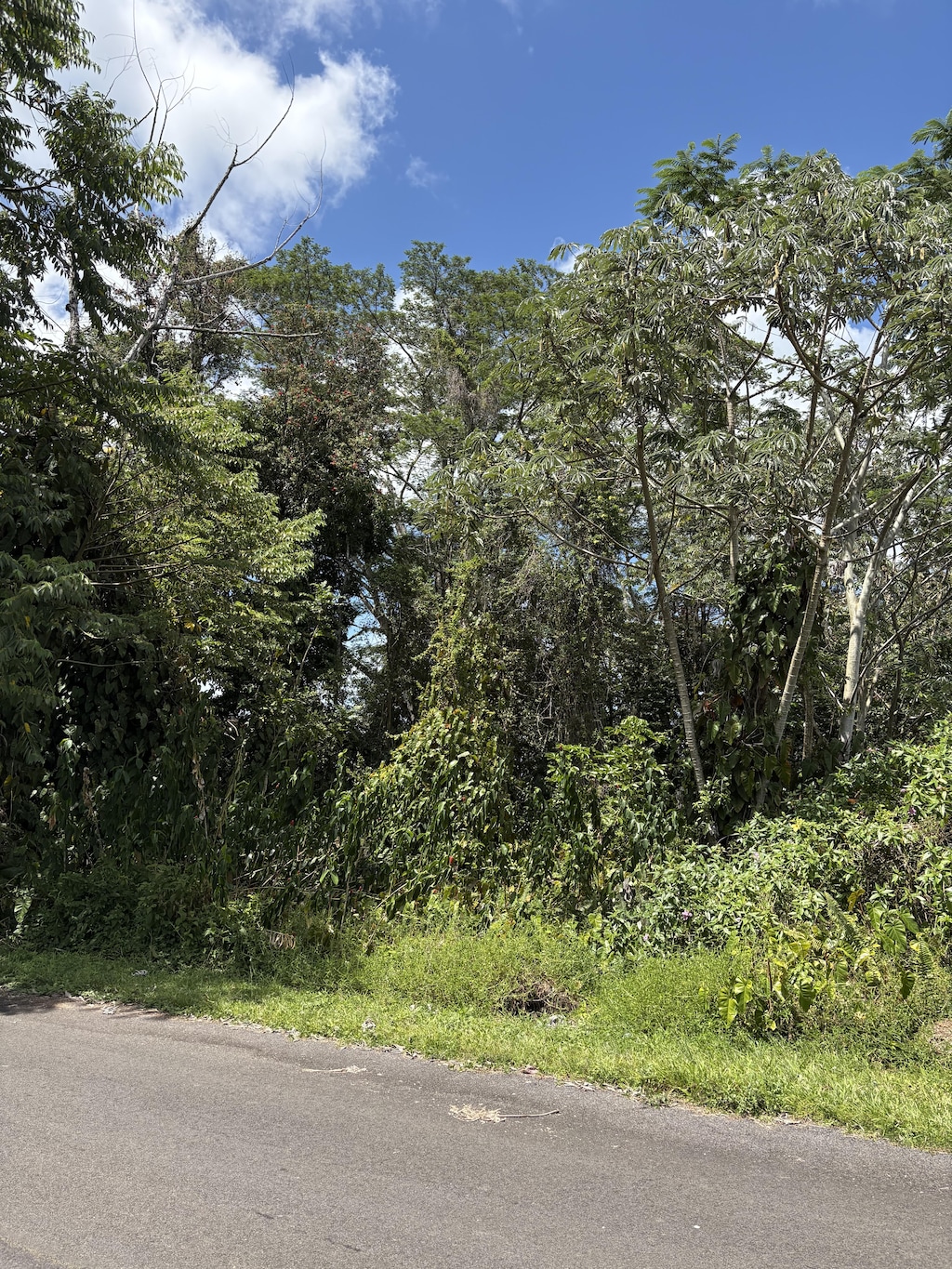 Anthurium Dr, Pahoa, HI 96778