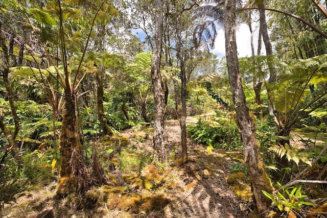 11-3754 Nahelenani St, Volcano, HI 96785 - photo 19