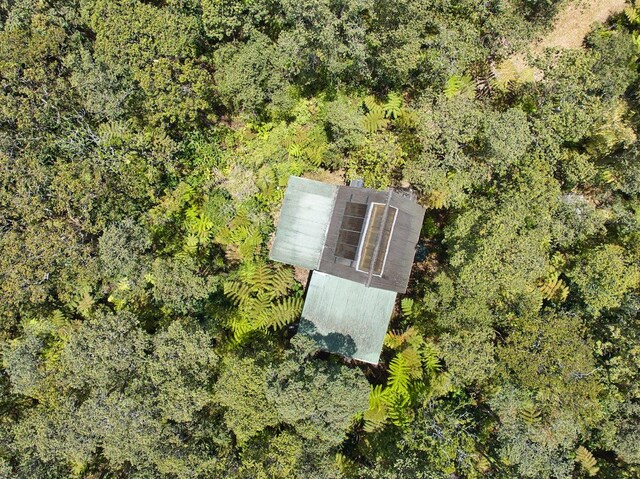 11-3754 Nahelenani St, Volcano, HI 96785 - photo 23