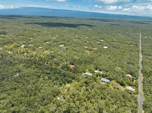 11-3754 Nahelenani St, Volcano, HI 96785 - photo 21