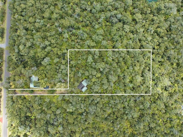11-3754 Nahelenani St, Volcano, HI 96785 - photo 22