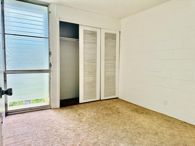 4156 Rice St Unit 411, Lihue, HI 96766 - unfurnished bedroom featuring carpet, a closet, and concrete block wall