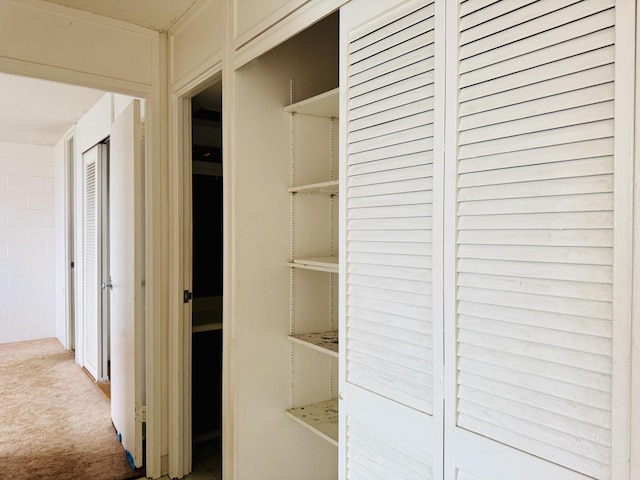 4156 Rice St Unit 411, Lihue, HI 96766 - view of closet