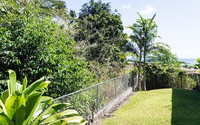 188 Hale St Unit 3C, Hilo, HI 96720 - view of yard