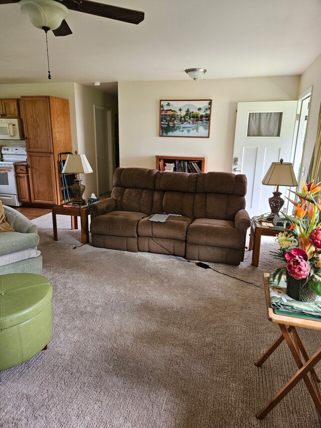 64-5122 Kalake St, Kamuela, HI 96743 - photo 2