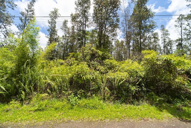 Aulii St, Keaau, HI 96749