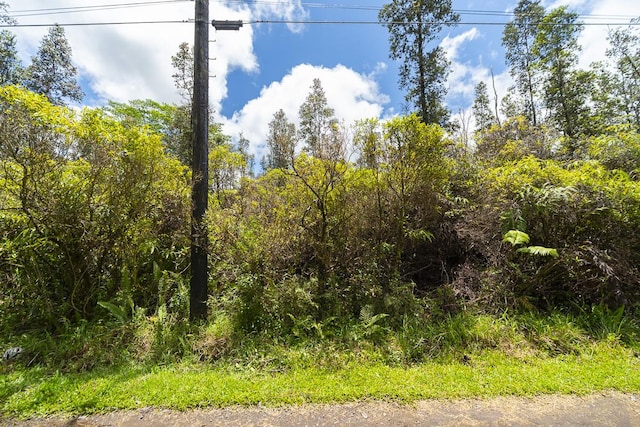 Aulii St, Keaau, HI 96749