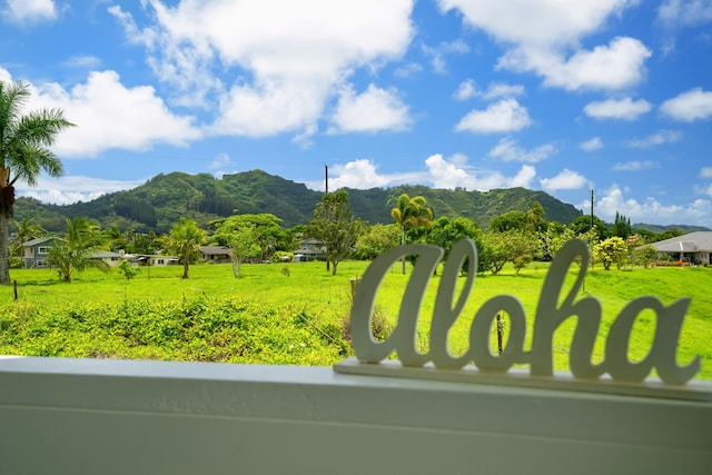 6395 Olohena Rd, Kapaa, HI 96746 - view of community featuring a mountain view