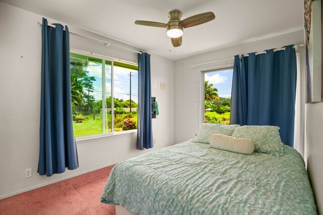 6395 Olohena Rd, Kapaa, HI 96746 - bedroom with carpet, multiple windows, baseboards, and ceiling fan