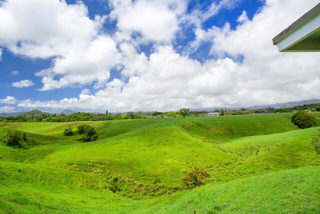 6395 Olohena Rd, Kapaa, HI 96746 - view of yard