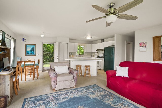 6395 Olohena Rd, Kapaa, HI 96746 - living area with ceiling fan