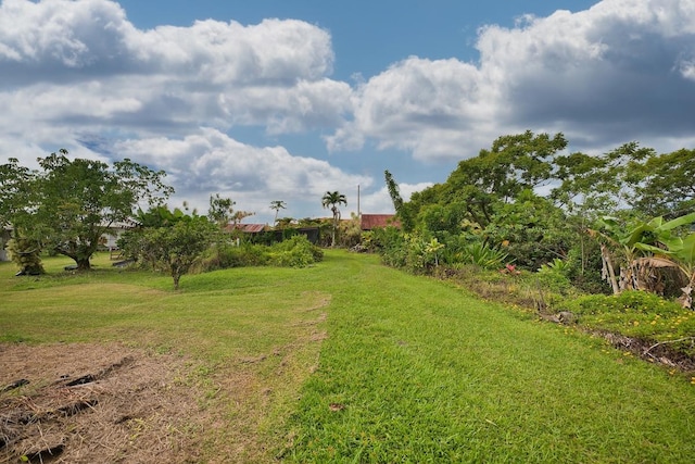 870 Kawailani St, Hilo, HI 96720 - photo 21
