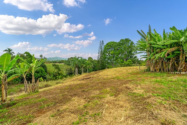 Hauiki Rd Unit 1, Kapaa, HI 96746