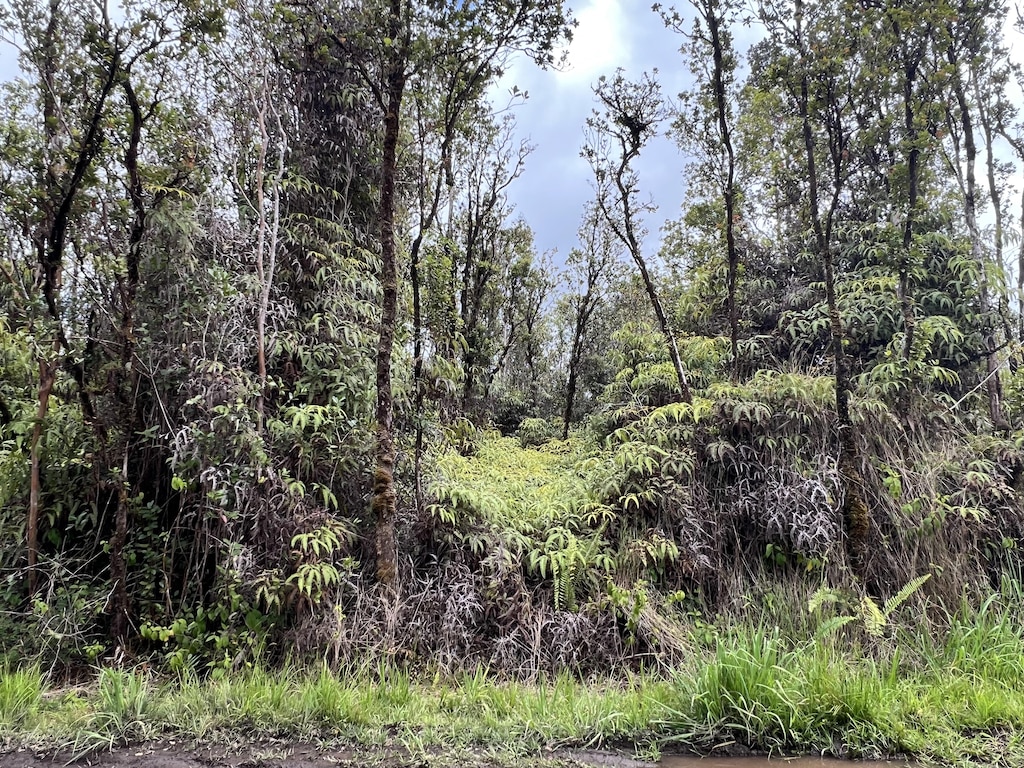 Ohia Ave, Mountain View, HI 96771