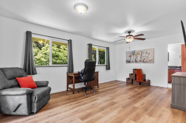 99-1919 Pukeawe Cir, Volcano, HI 96785