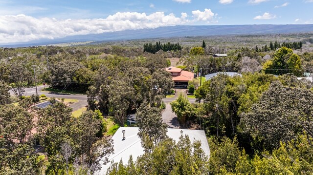 99-1919 Pukeawe Cir, Volcano, HI 96785