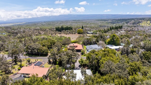 99-1919 Pukeawe Cir, Volcano, HI 96785