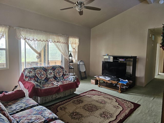 16-1754 Uhini Ana Rd, Mountain View, HI 96760 - photo 10