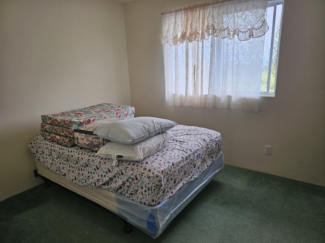16-1754 Uhini Ana Rd, Mountain View, HI 96760 - photo 11
