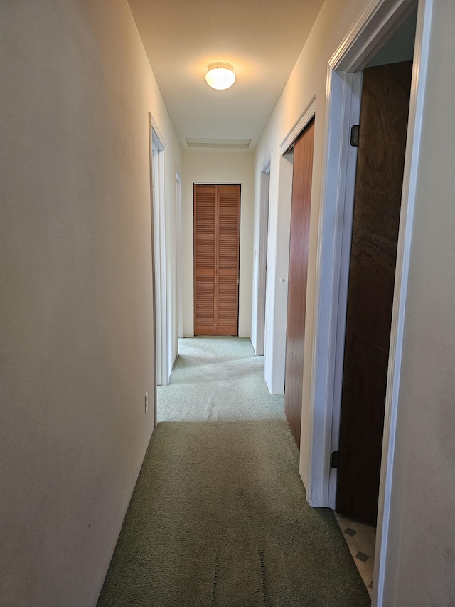 16-1754 Uhini Ana Rd, Mountain View, HI 96760 - photo 13