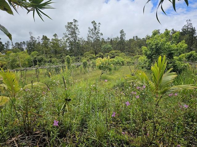 16-1754 Uhini Ana Rd, Mountain View, HI 96760 - photo 18